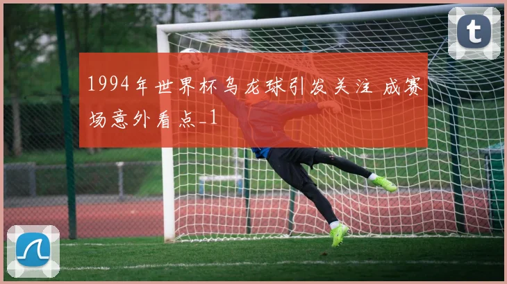 1994年世界杯乌龙球引发关注 成赛场意外看点_1